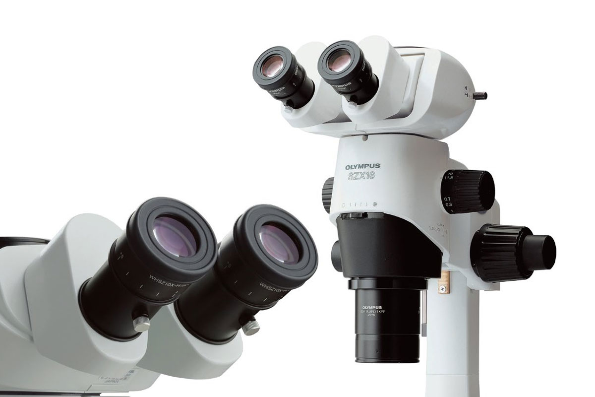 Stereo Mikroskoplar