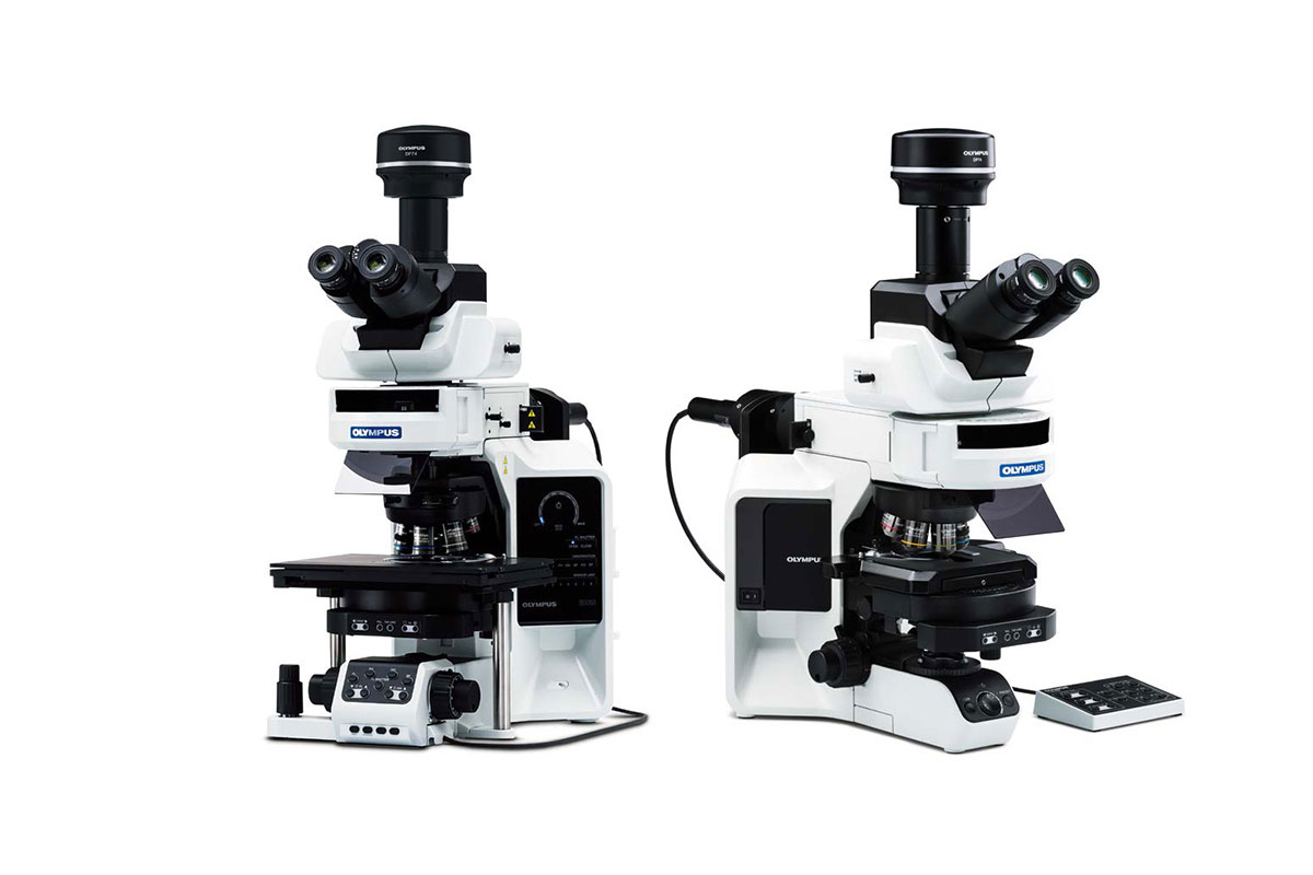 Yaşam Bilim Işık Mikroskopları